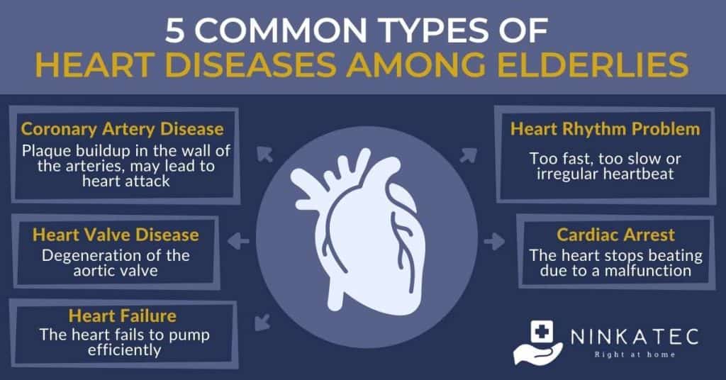 Ninkatec Infographic_5 common types of heart diseases among elderlies