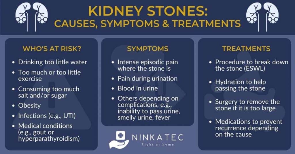 Kidney Stones_ Causes, Symptoms & Treatments_Ninkatec Blog Article Image